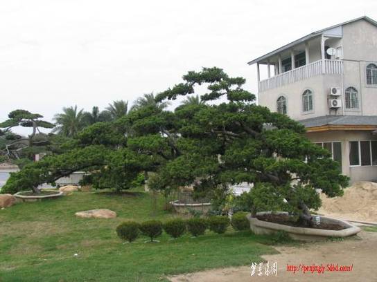 Ƭ 049.jpg