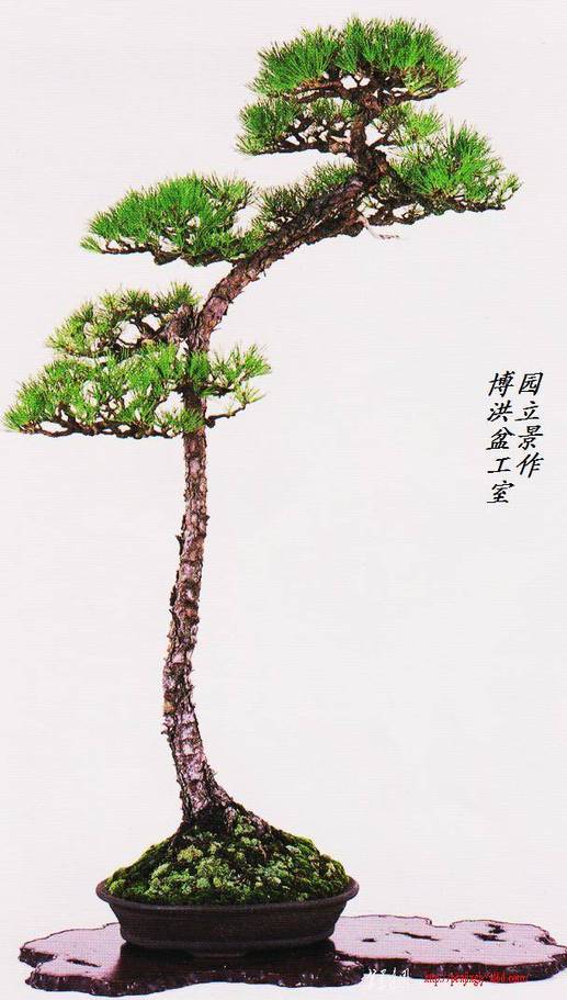 Ƭ 022.jpg