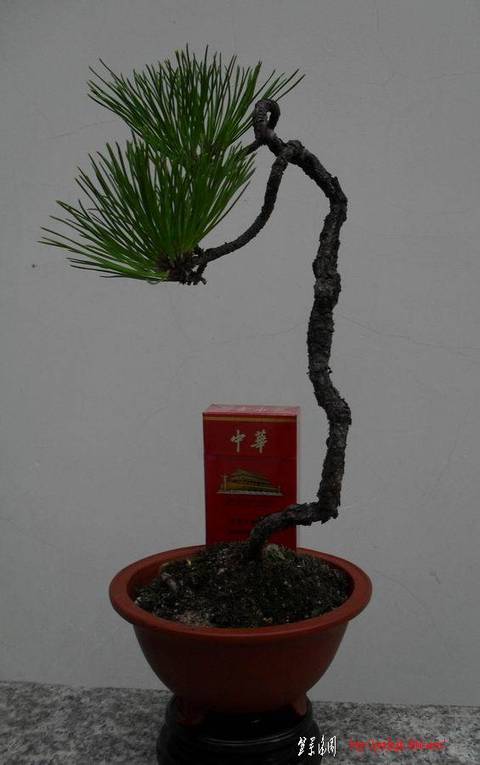 С SDC10732.jpg