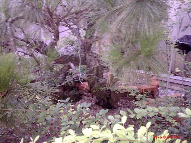 20100708089.jpg
