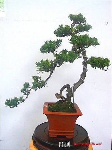 RIMG0460_.jpg