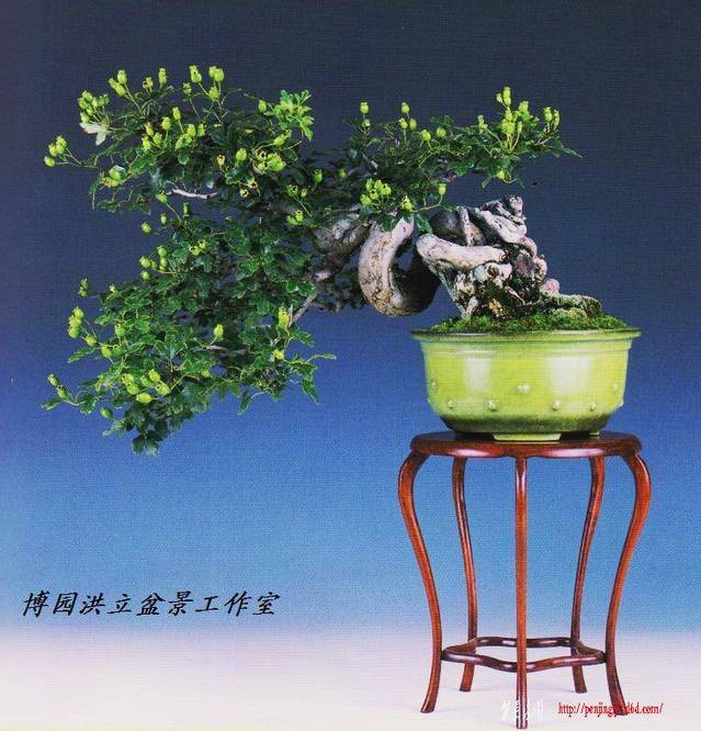 Ƭ 001.jpg