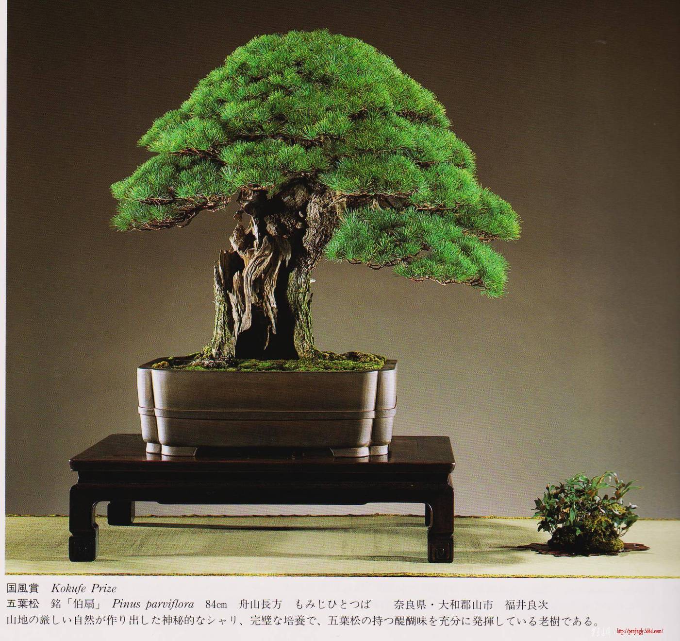 Ƭ 004.jpg