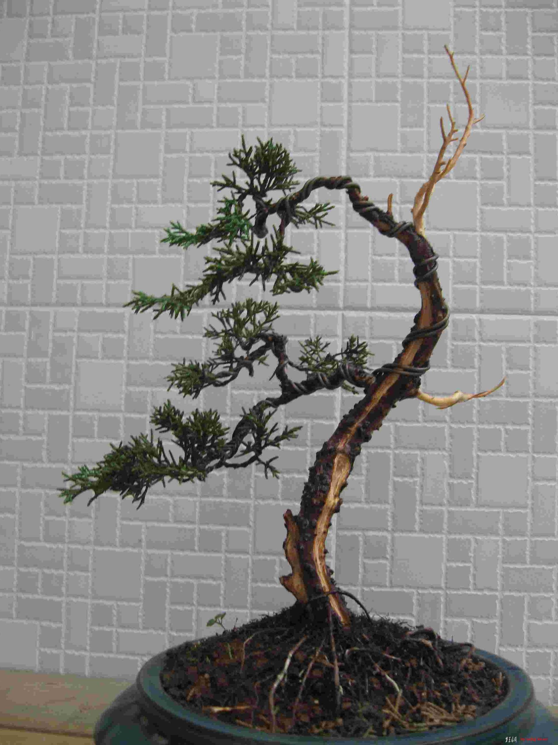 Ƭ 037.jpg
