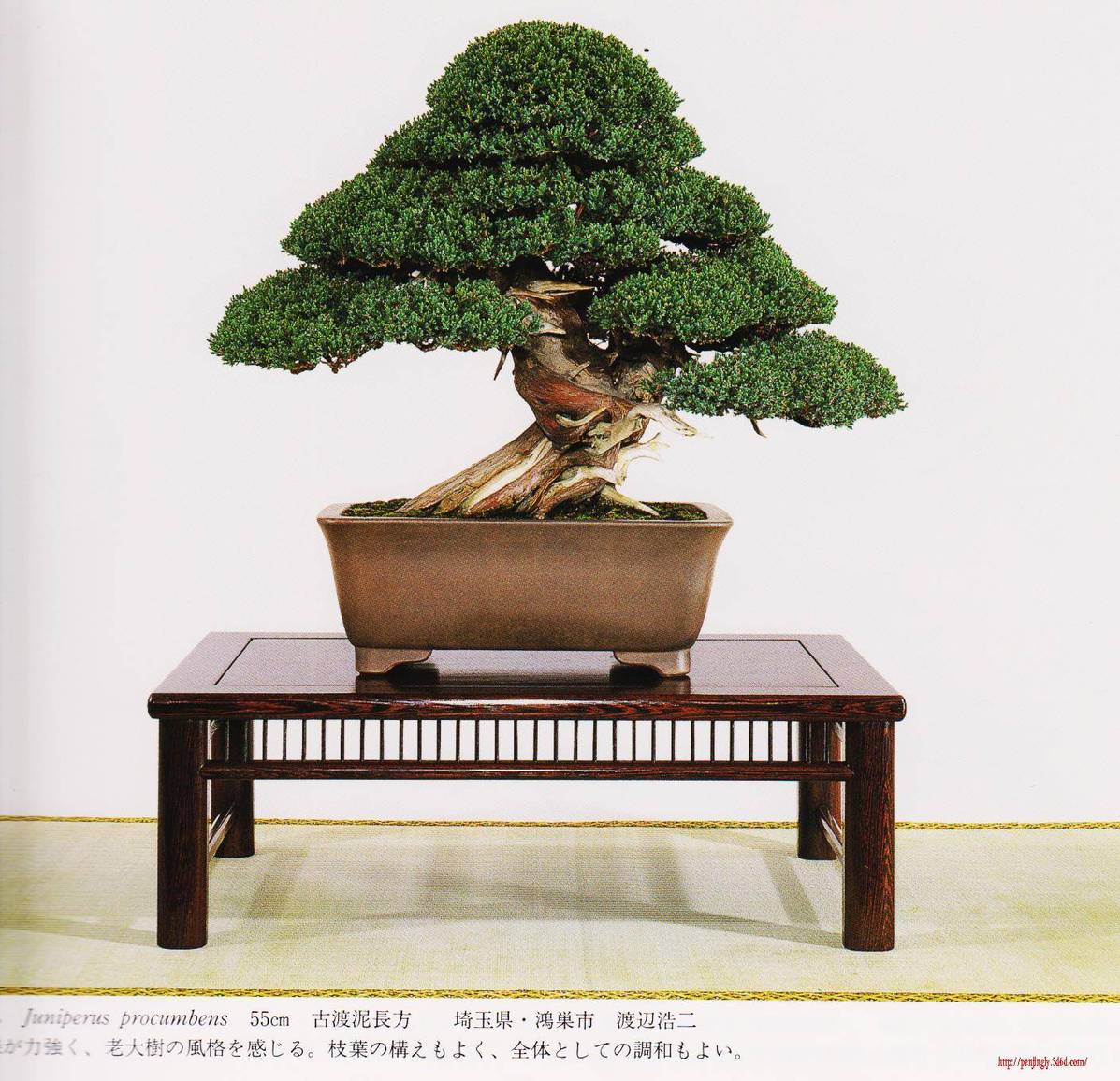 Ƭ 025.jpg
