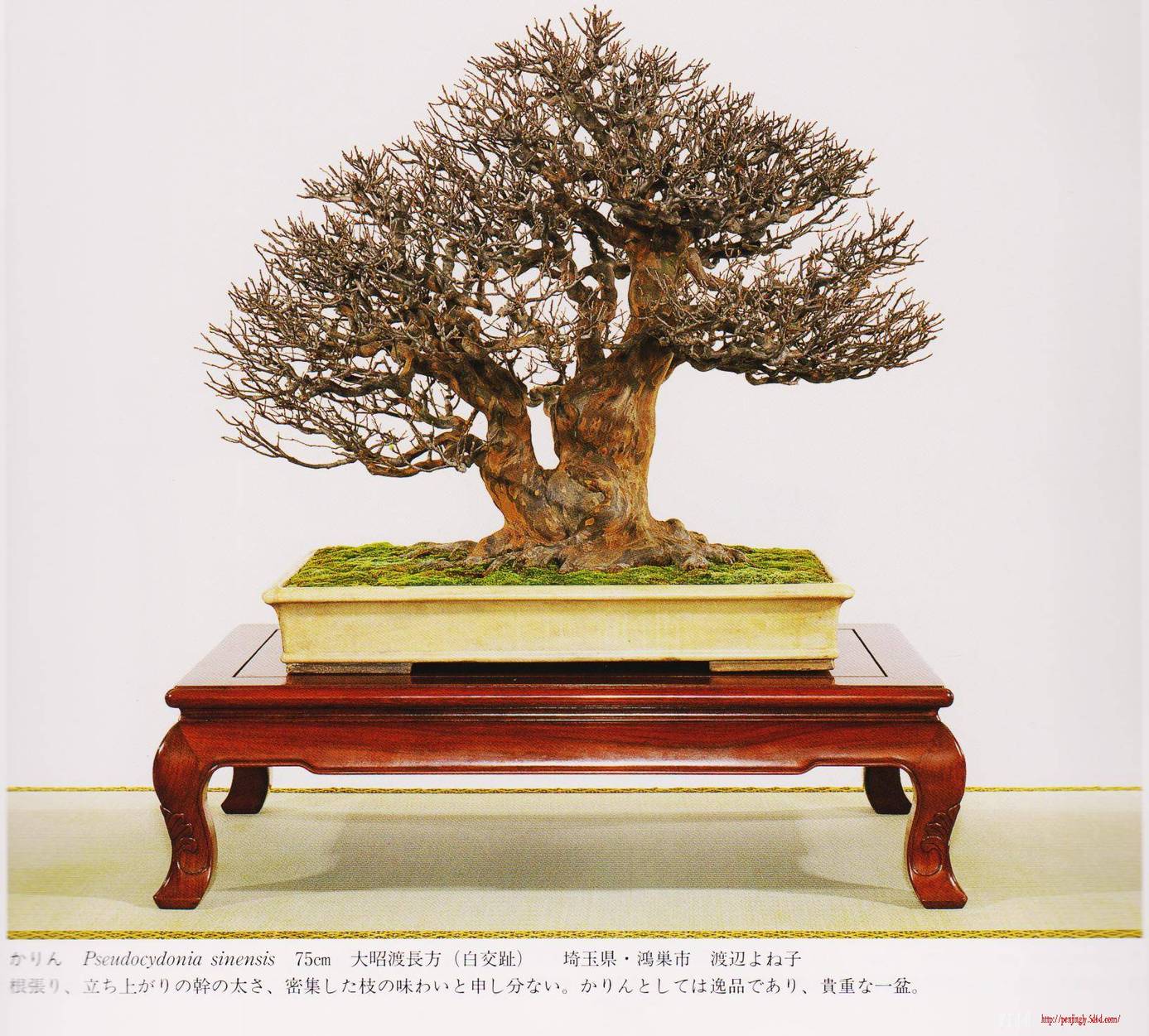 Ƭ 024.jpg