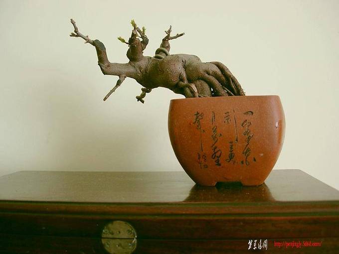 DSCN2836.JPG