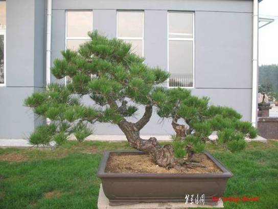 2010.07.20 031.jpg