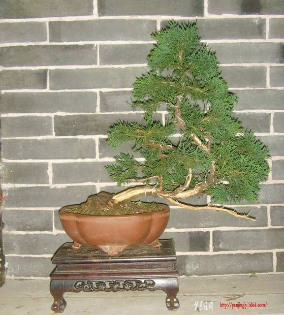 SNV34565.jpg
