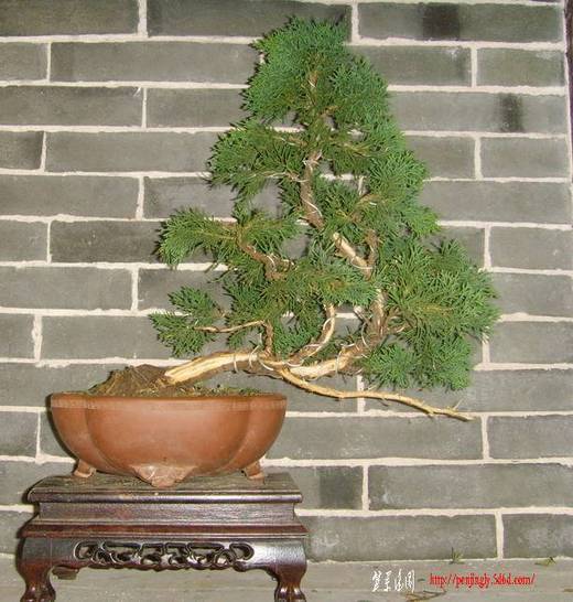 SNV34568.jpg