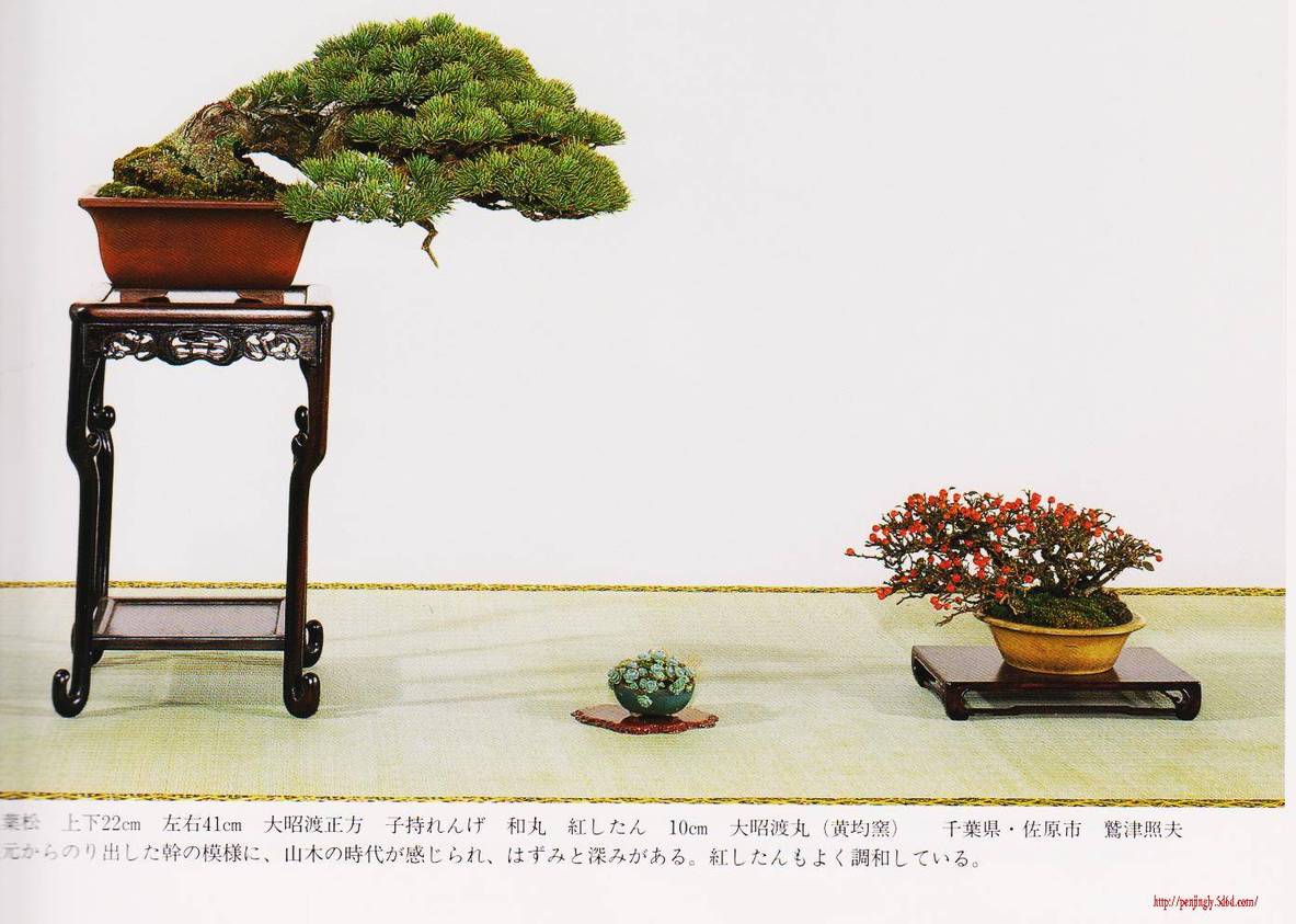 照片 019.jpg
