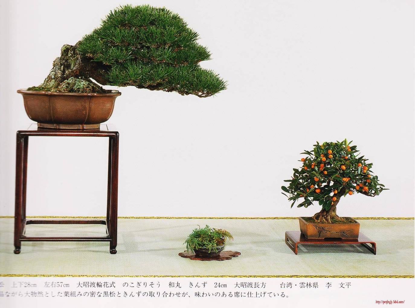 Ƭ 018.jpg