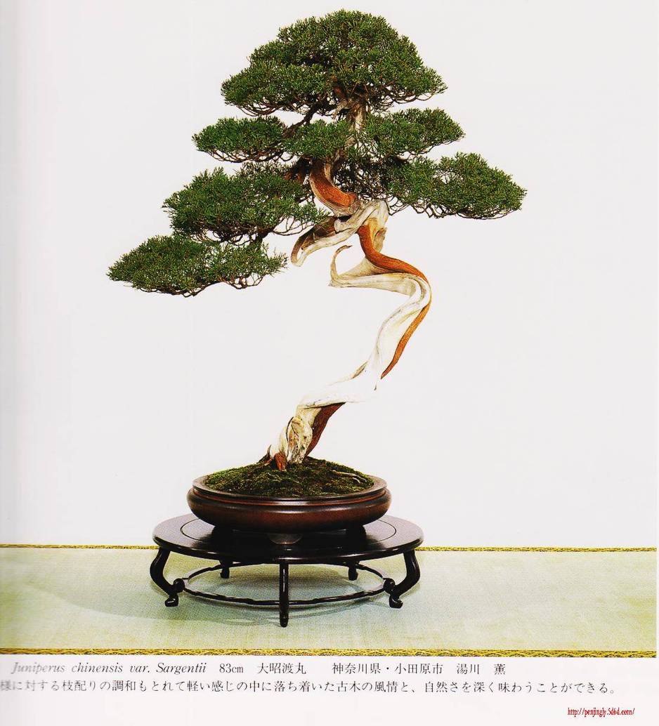 照片 015.jpg