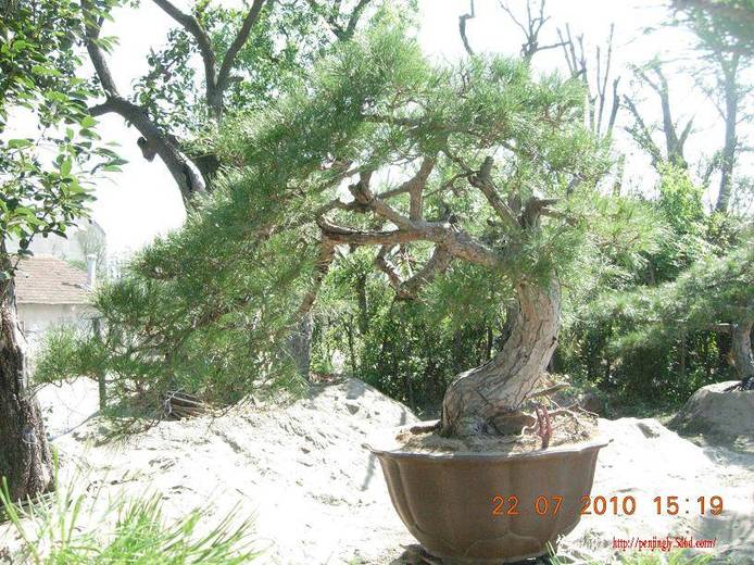 DSCN5799.JPG
