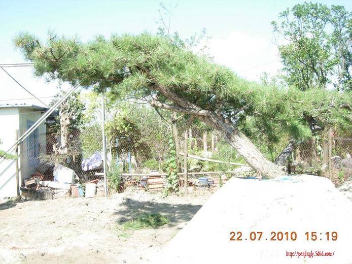 DSCN5802.JPG