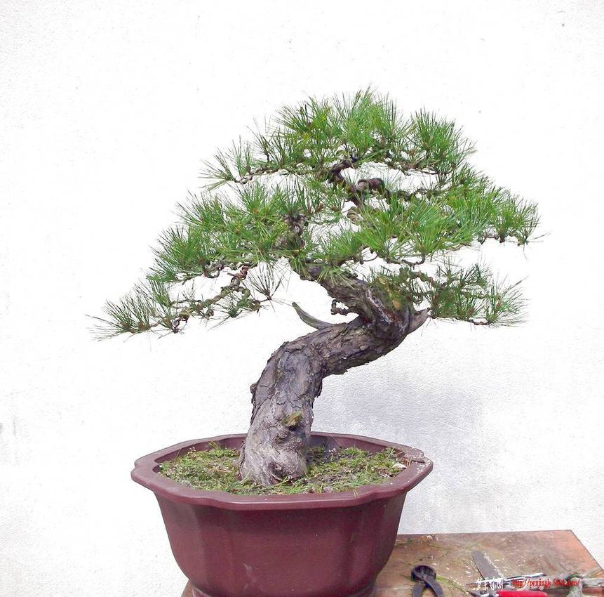 DSCN5701.JPG