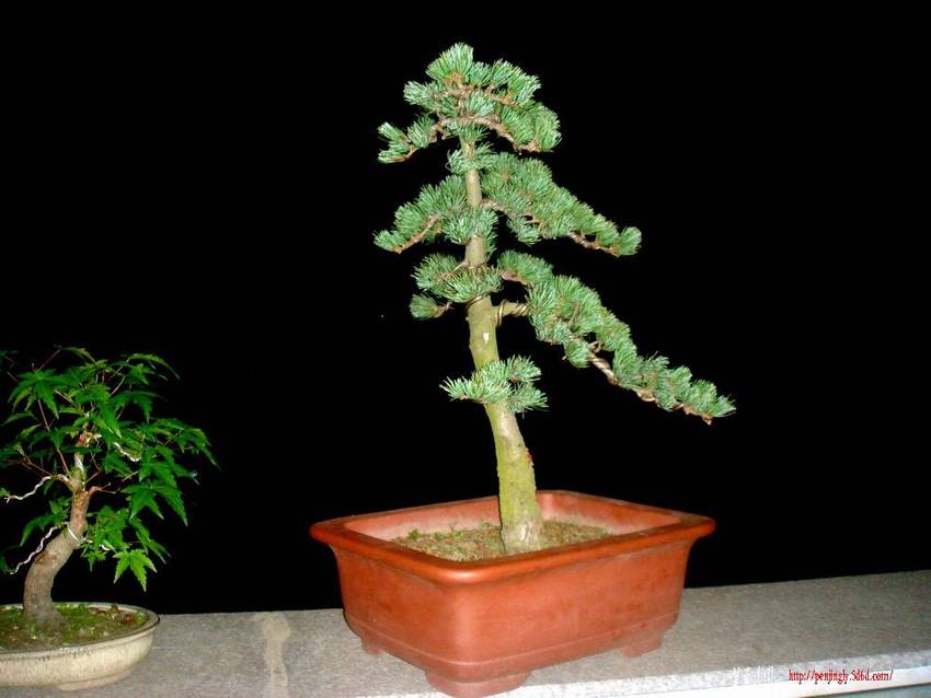 ӭ2.JPG