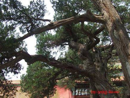 DSCF5049.JPG