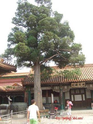 DSCF5041.JPG