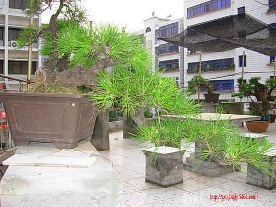 DSCN7465.JPG