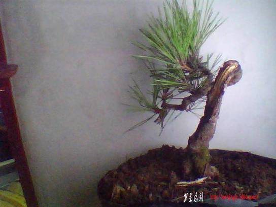 ͼƬ 014.jpg