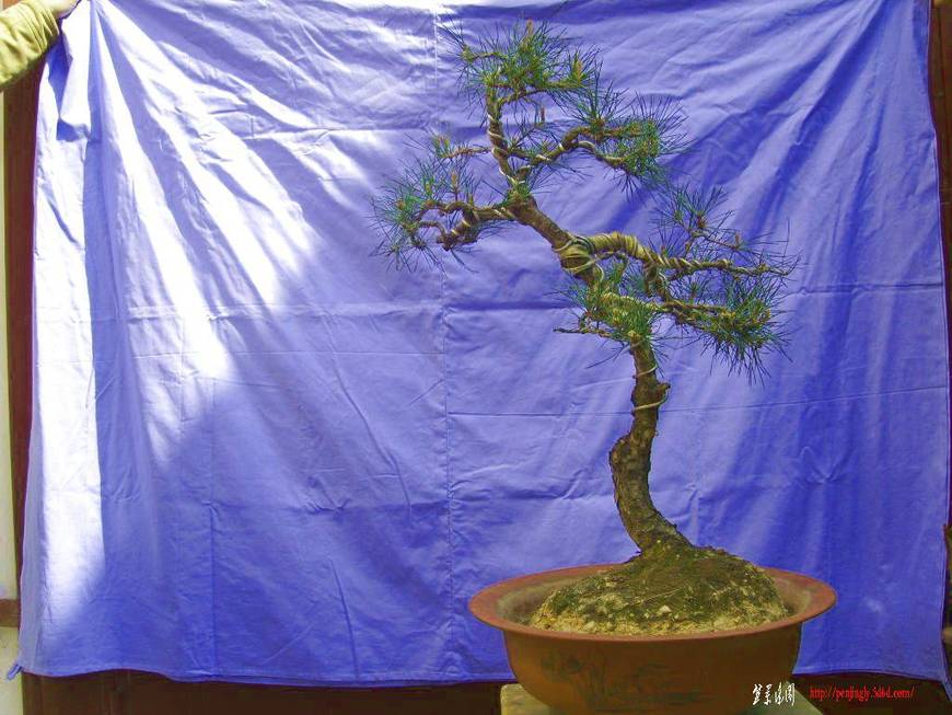XL800124.JPG