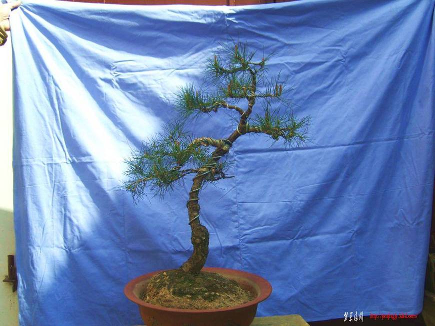 XL800122.JPG