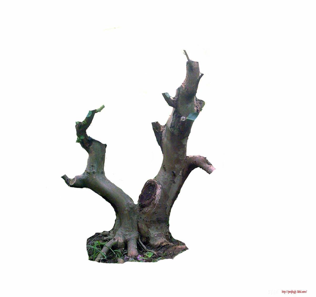 Ƭ-0012.jpg
