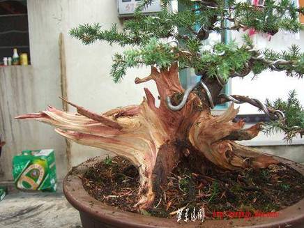DSCF5254.JPG