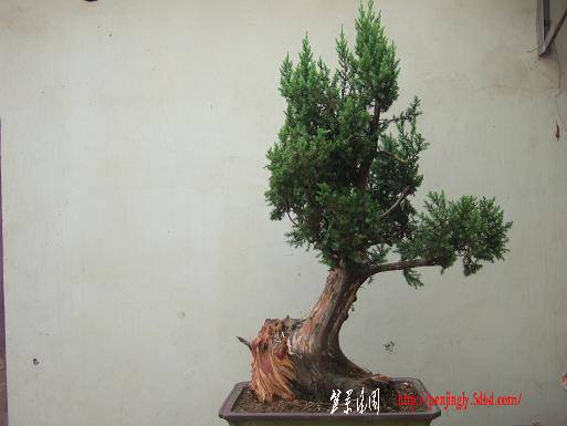 DSCF5246.JPG