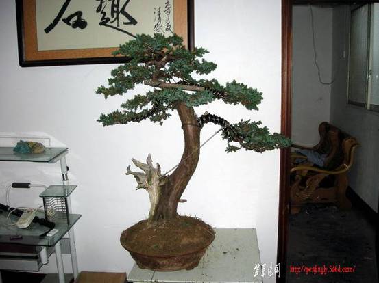 DSCN3960.JPG