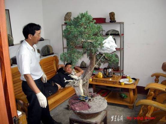 DSCN3959.JPG