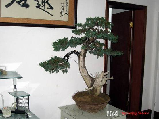 DSCN3962.JPG
