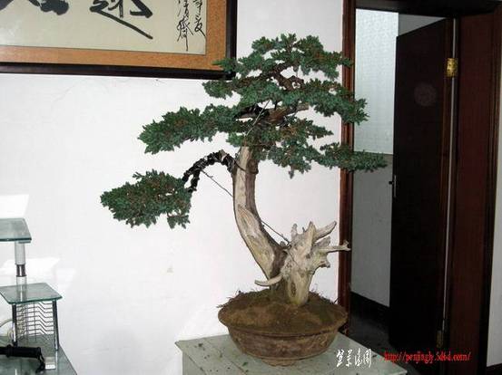DSCN3961.JPG