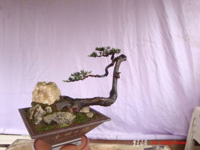 DSC01606.JPG