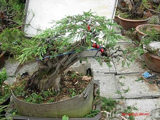 DSCN7516.JPG