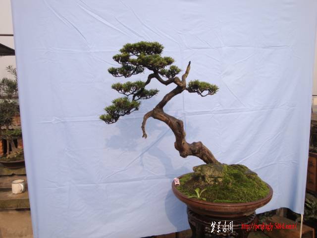 DSC01522.JPG