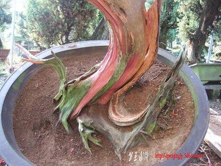 DSCF5264.JPG
