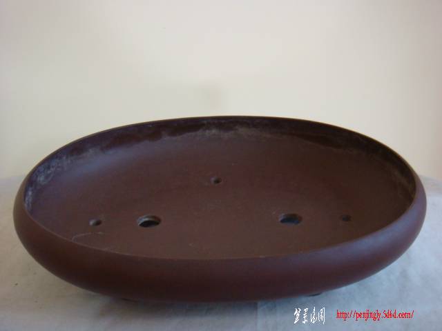 DSC03678.JPG