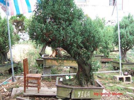 DSCF5280.JPG