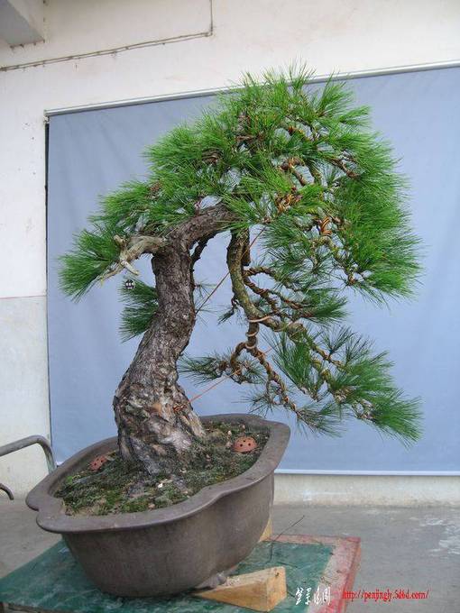 2010ĳɣ08.jpg