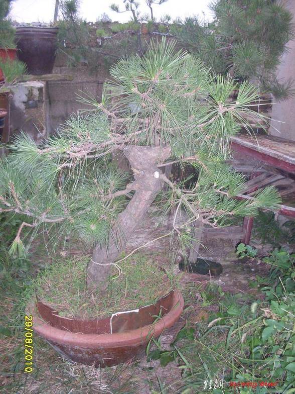 SDC10635.JPG