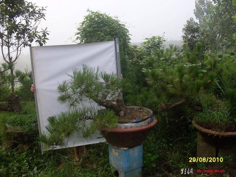SDC10627.JPG