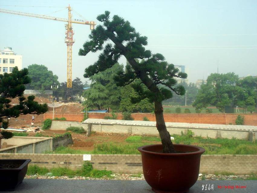 ߸˴3.JPG