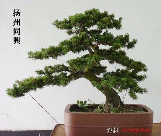 P1010967.JPG