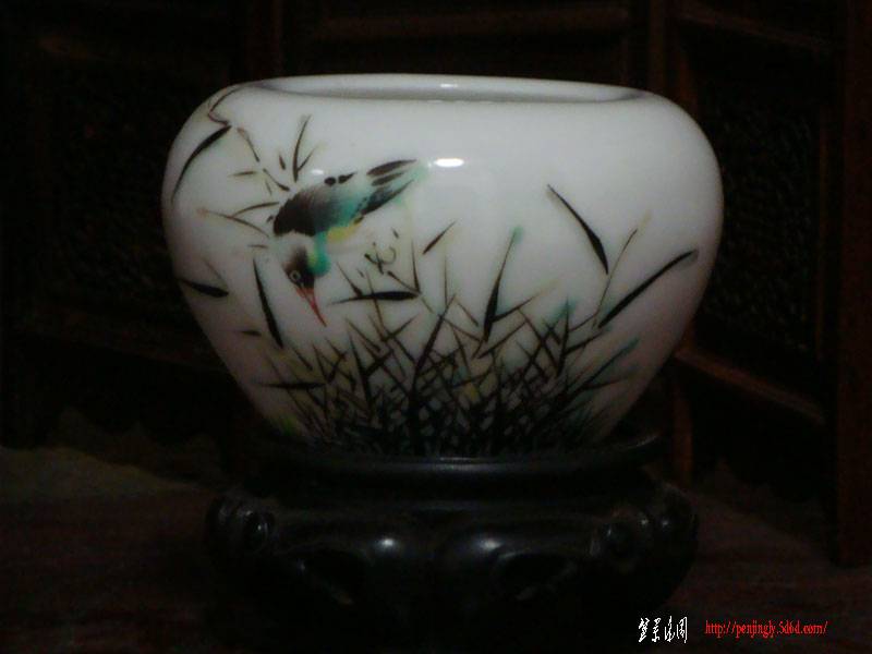 DSC03223.JPG