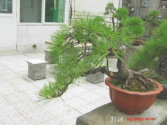 DSCN7489.JPG