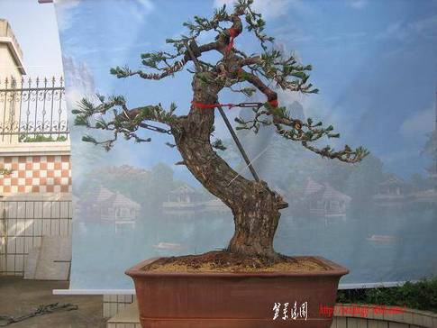 http_imgloadCA027X4M.jpg