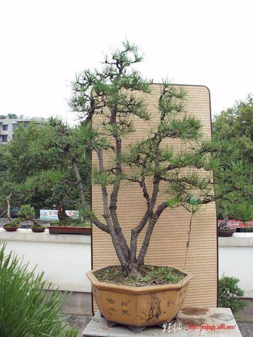 DSCI0070.JPG