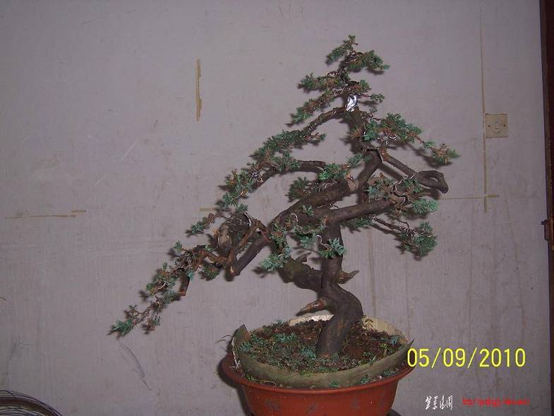 100_2394.JPG